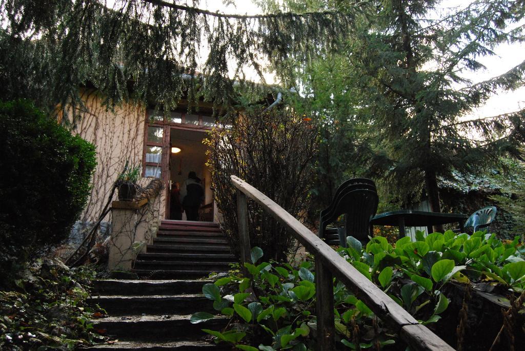 Boroka Apartmanhazak - Oereghaz Velem Δωμάτιο φωτογραφία