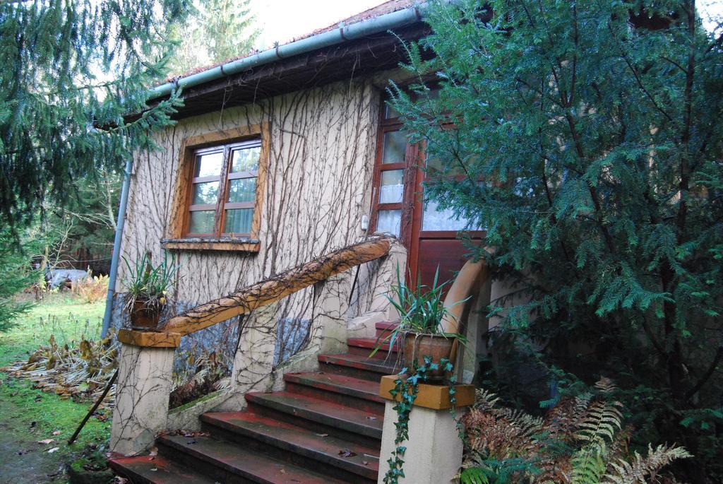 Boroka Apartmanhazak - Oereghaz Velem Δωμάτιο φωτογραφία