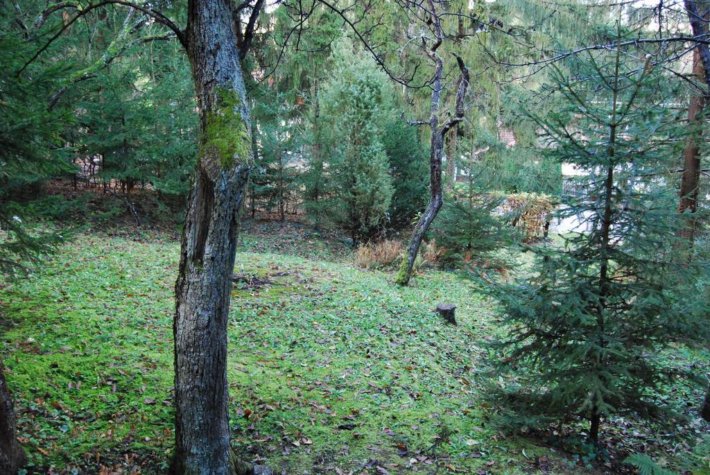 Boroka Apartmanhazak - Oereghaz Velem Δωμάτιο φωτογραφία